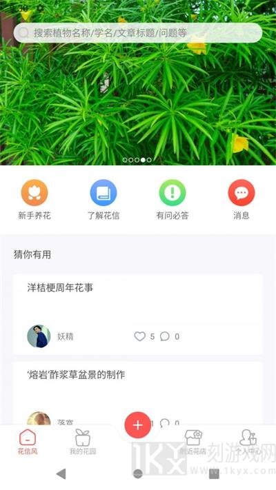 花信