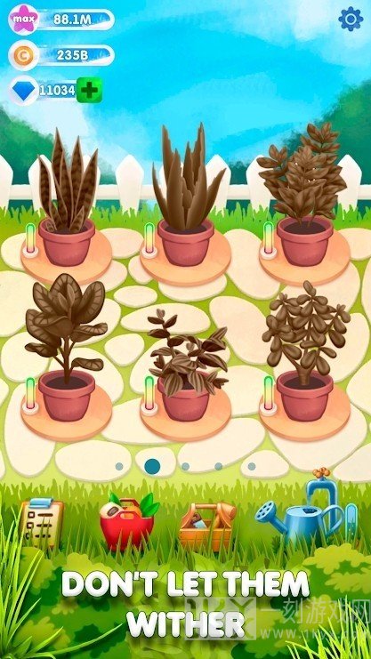 闲置植物花园