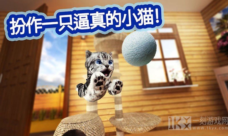 迷你小猫城市生存