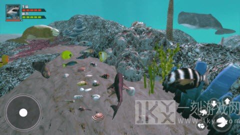 海底大求生