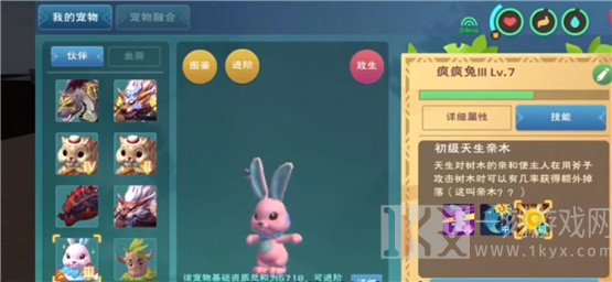 创造与魔法疯疯兔有什么用 创造与魔法疯疯兔怎么获得