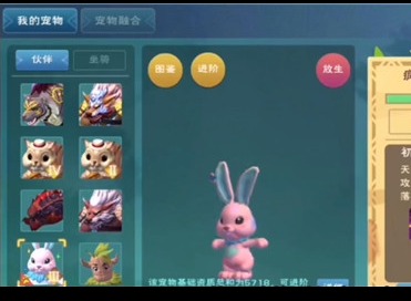 创造与魔法疯疯兔有什么用 创造与魔法疯疯兔怎么获得