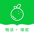 青桔免费小说