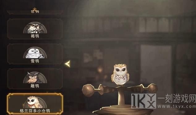 哈利波特魔法觉醒宠物获取的途径有哪些 宠物怎么获得