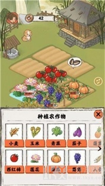 悠然人生