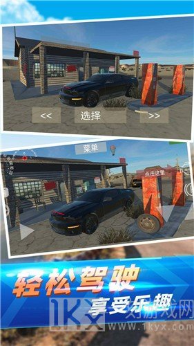 真实汽车碰撞