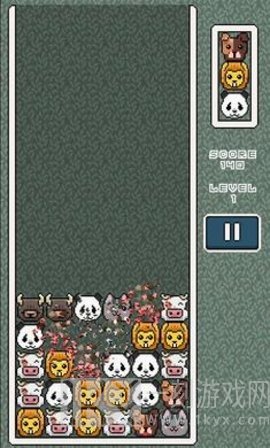 动物园流行音乐