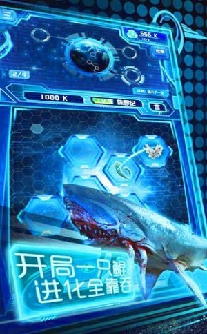 鲲的进化之旅