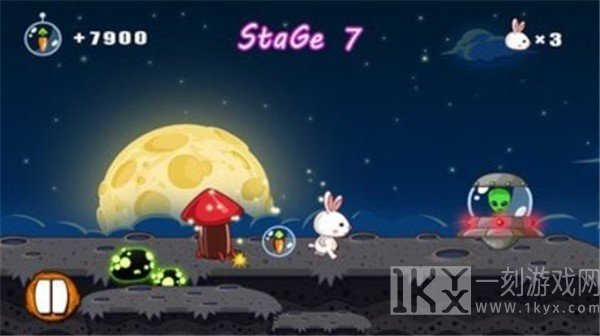 来自星星的兔子