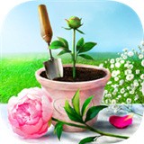 弗洛里亚虚拟花园