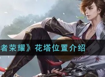 王者荣耀关键花塔位置攻略 s25全部的花塔位置图文分享