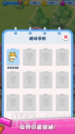 我的猫咪小家
