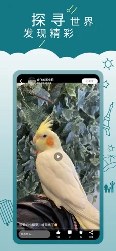 走来走趣