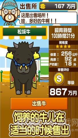 我的养牛场