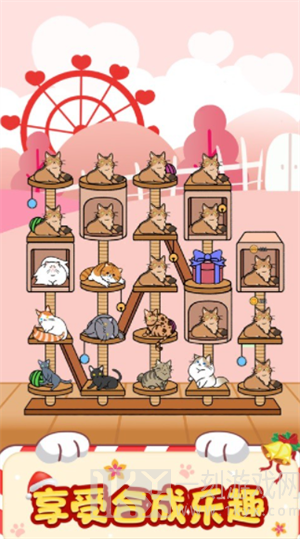 萌猫成长记