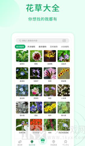 花草识别