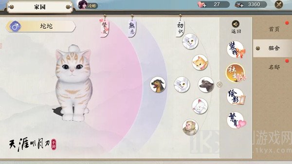天涯明月刀养猫攻略 猫咪捏脸数据分析