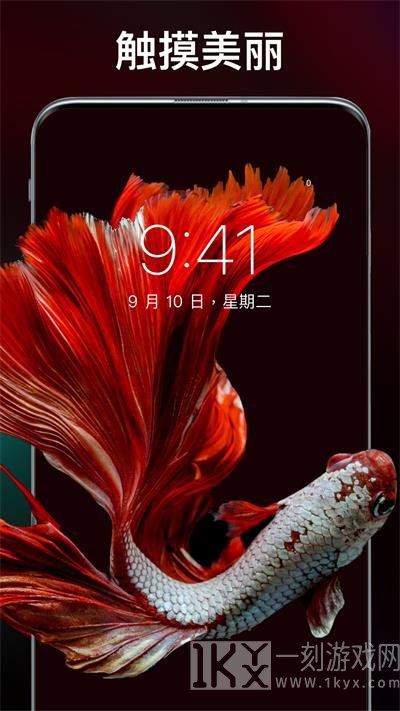 主题刘海壁纸