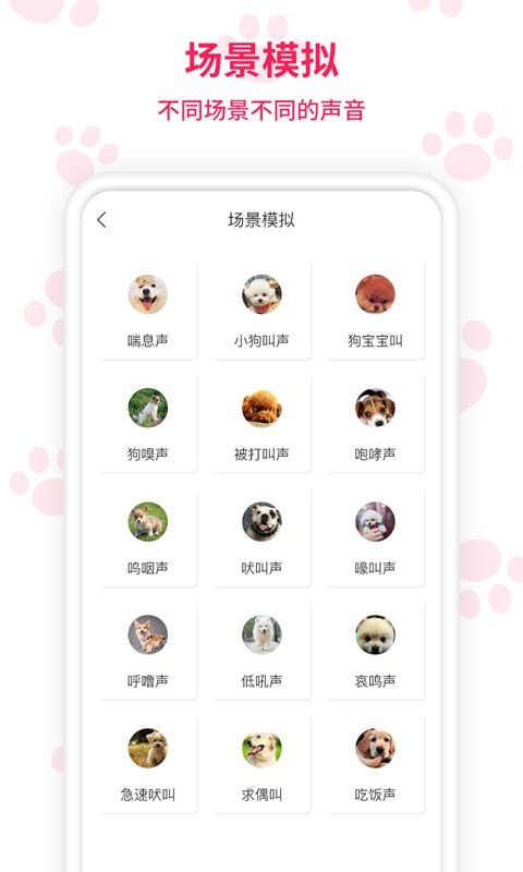 人猫人狗交流师