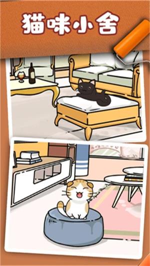 猫咪小舍手机版