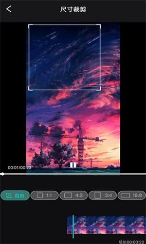 懂点视频