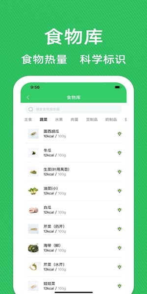 减肥营养师