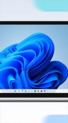 todesk