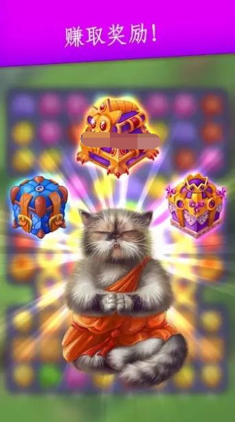 可爱的猫咪珍藏