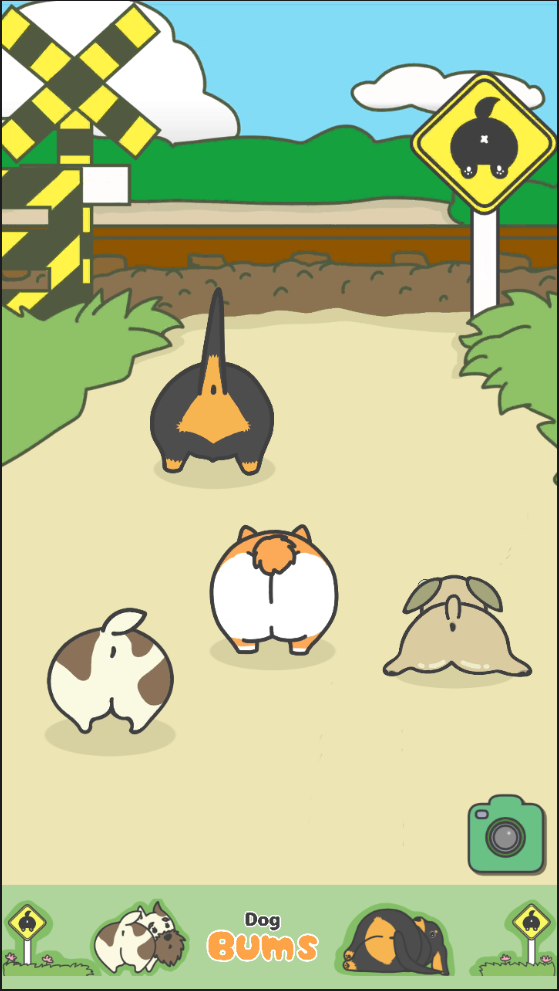 狗狗d小PP