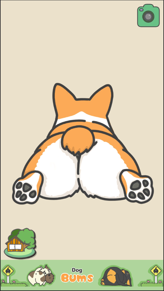狗狗d小PP