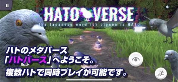 Hatoverse