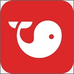 you选