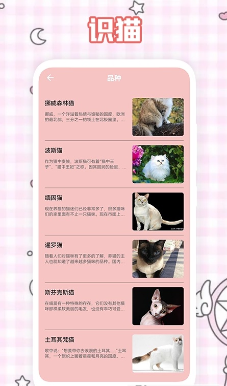 人猫翻译神器
