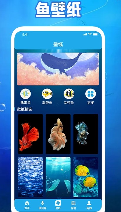 养鱼小高手