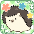 小花盆刺猬