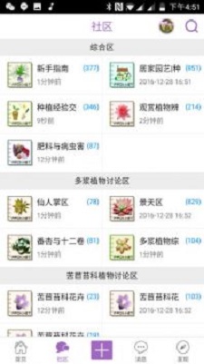 踏花行