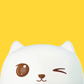 省大猫