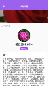 opensea识别