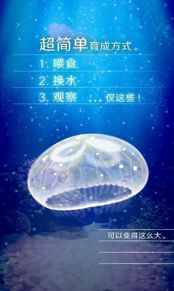 养育水母的治愈