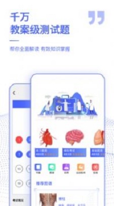 解剖学图谱