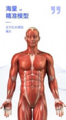 解剖学图谱