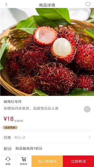南亚购
