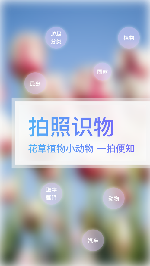 万图拍