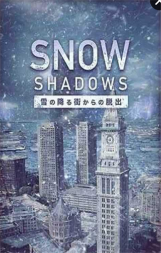 逃离降雪之街