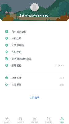 金猪充电王
