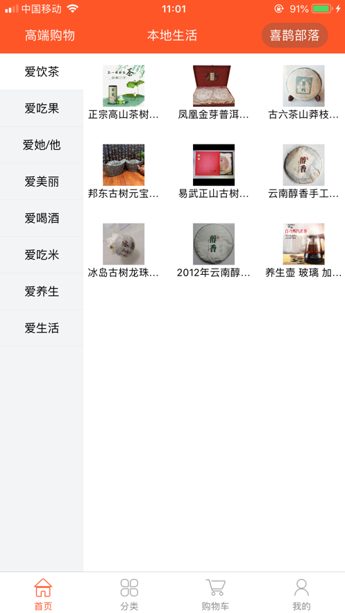 两只喜鹊