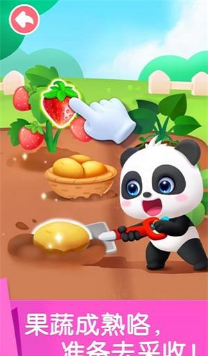 宝宝劳动小能手