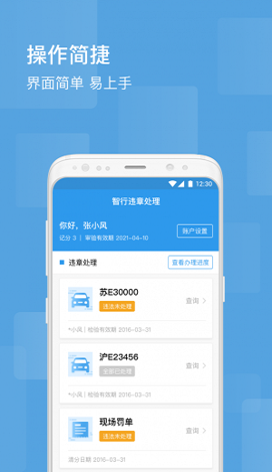 智行违章处理