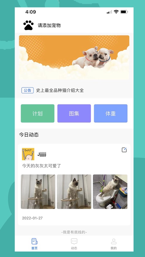 伴宠
