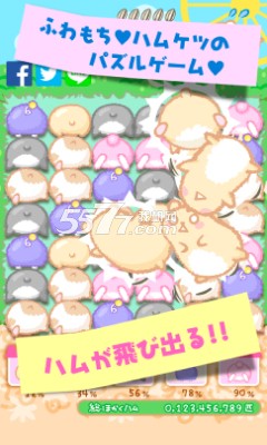 仓鼠屁屁大师
